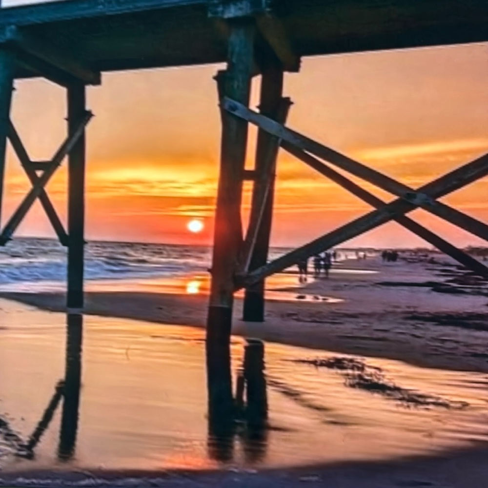 Meet your Posher, Charlotte